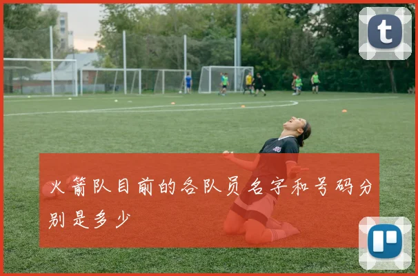 火箭队目前的各队员名字和号码分别是多少