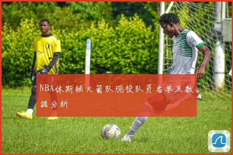 NBA休斯顿火箭队现役队员名单及数据分析