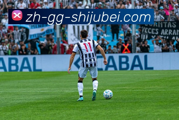 App Interface Preview